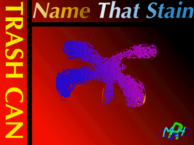 Name that Stain: On Marvin Hearted Records ©1998